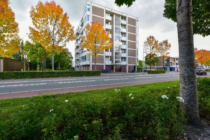 Foto 22 van Van Boshuizenstraat 501