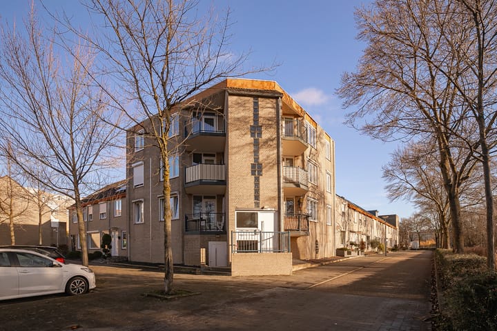 Foto 17 van Bellomontedomein 104-A