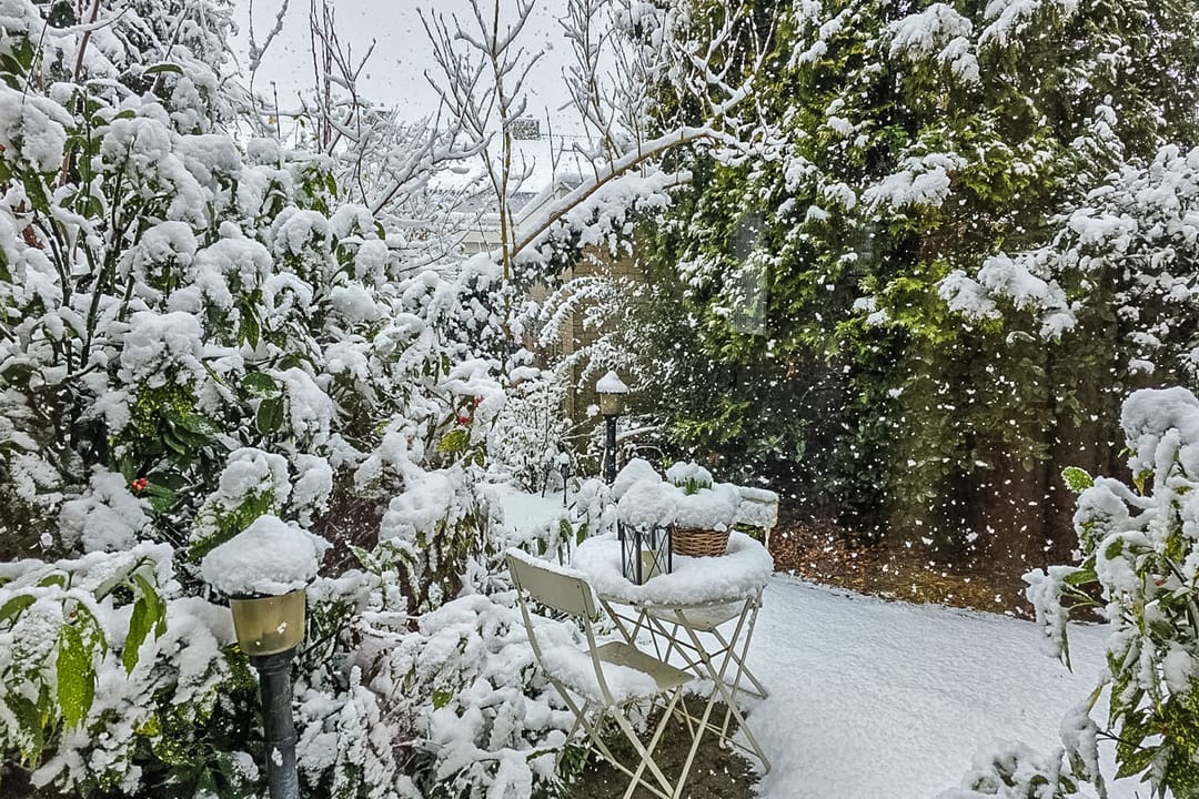 Foto 37 van De Parelvisserslaan 114