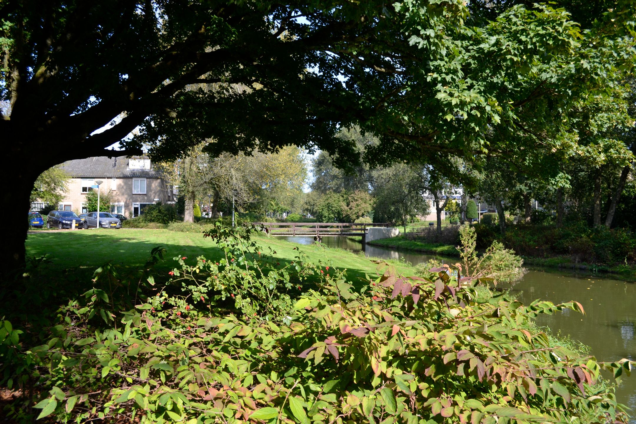 Foto 42 van De Parelvisserslaan 114