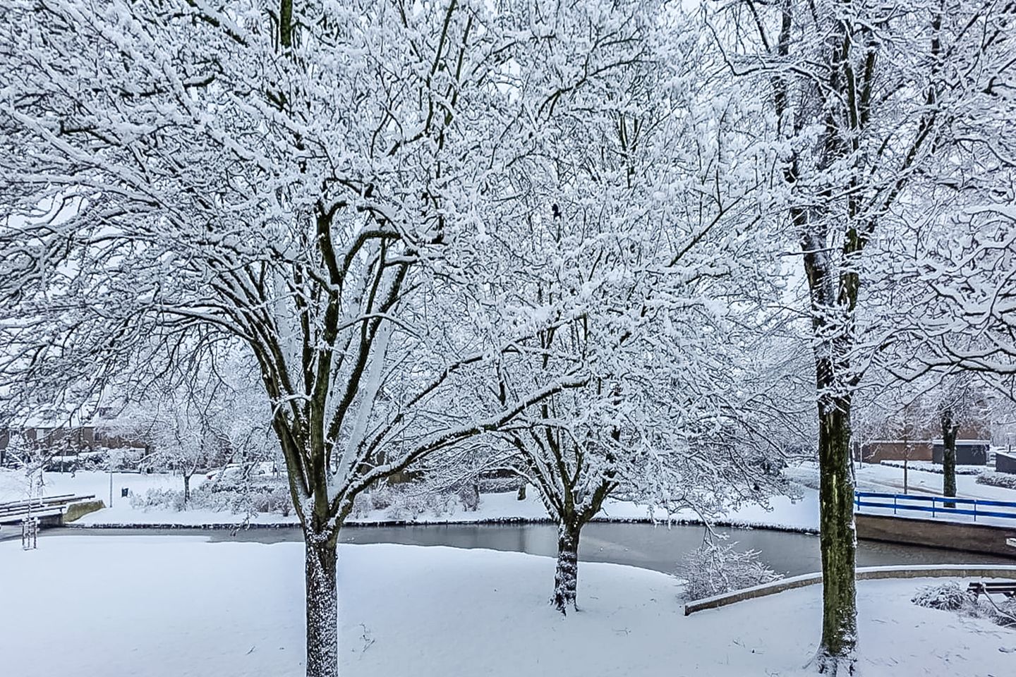 Foto 49 van De Parelvisserslaan 114