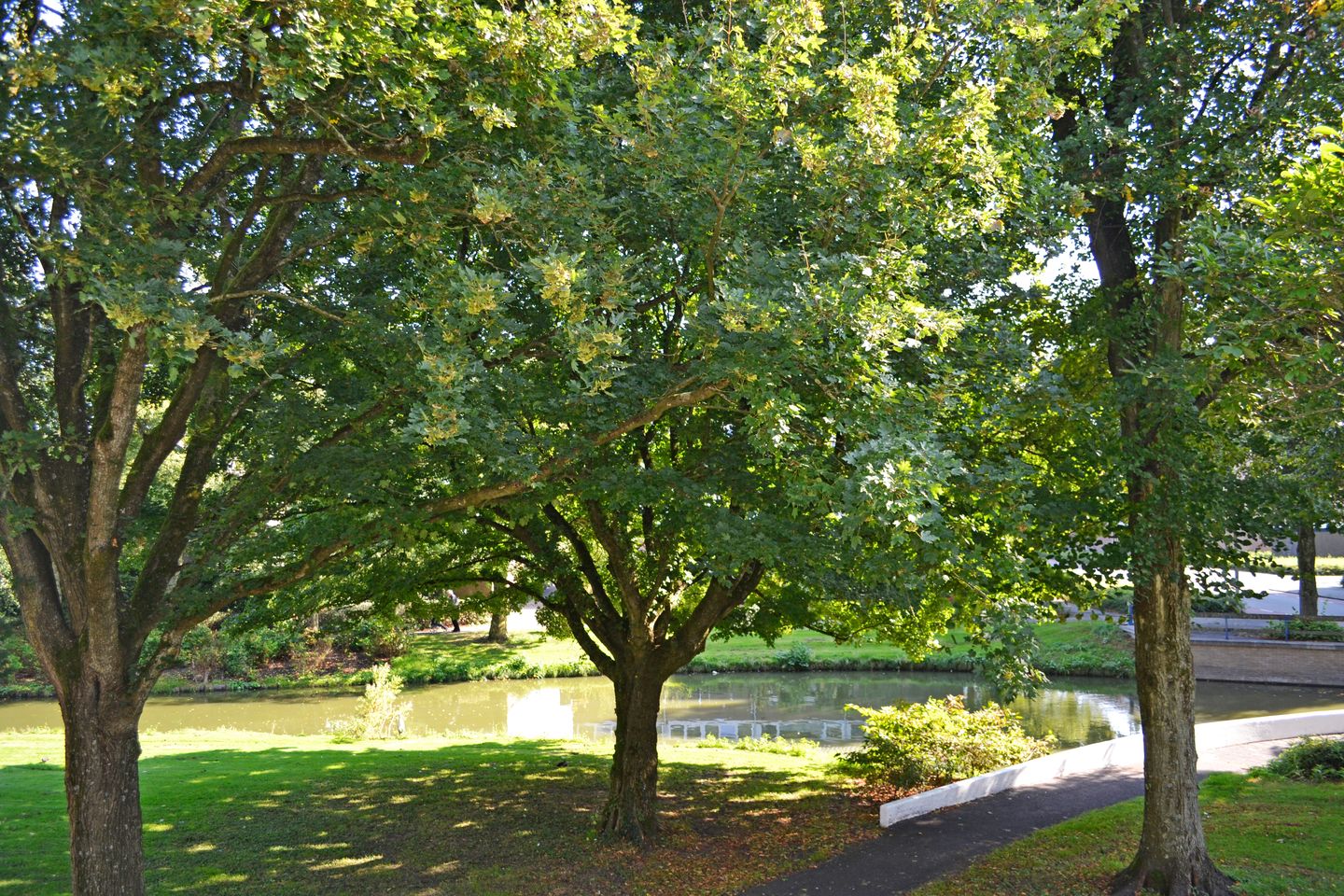 Foto 50 van De Parelvisserslaan 114