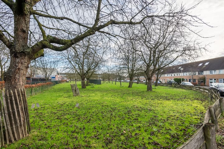 Foto 32 van J.H. L.-van Herwaardenstraat 61