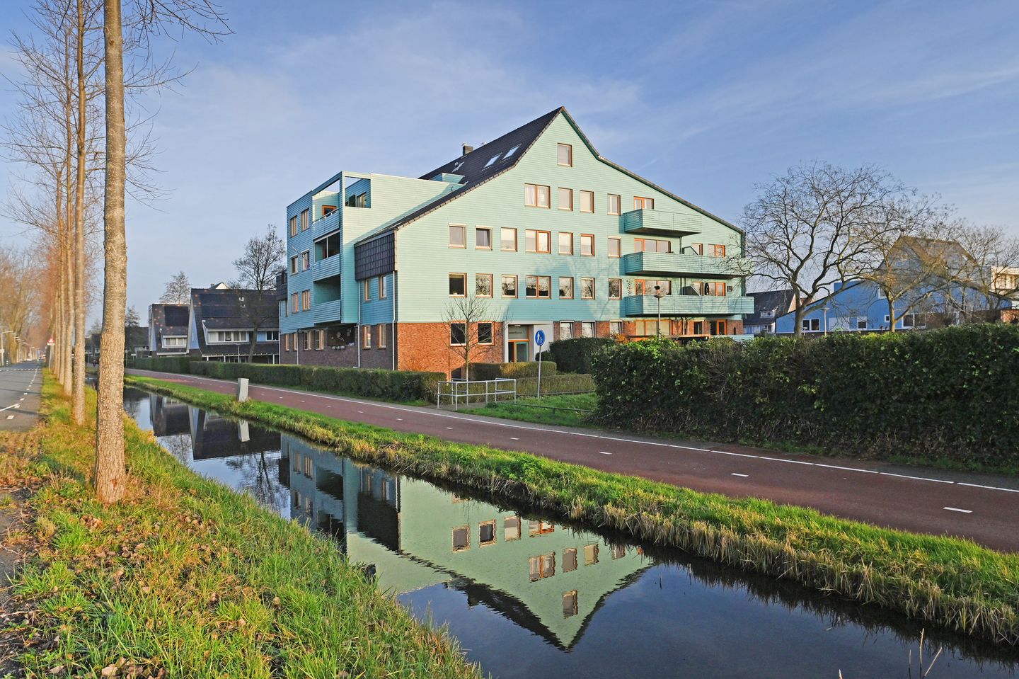 Photo 1 of Cypergras 203