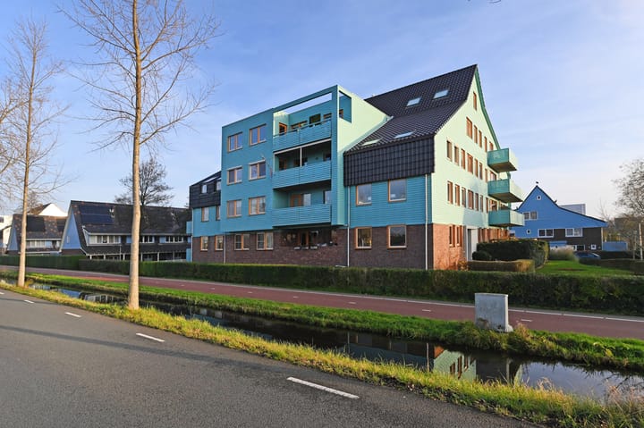 Photo 2 of Cypergras 203