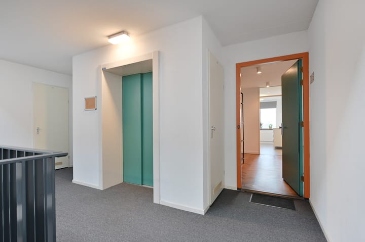 Photo 5 of Cypergras 203