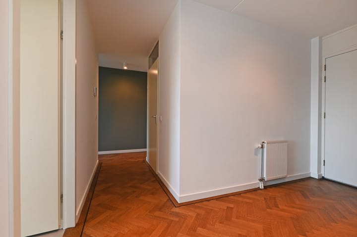 Foto 6 van Cypergras 203