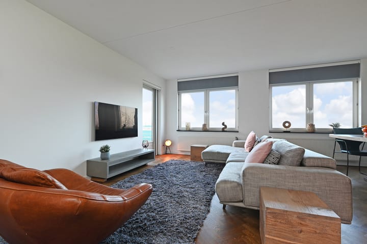 Foto 8 van Cypergras 203