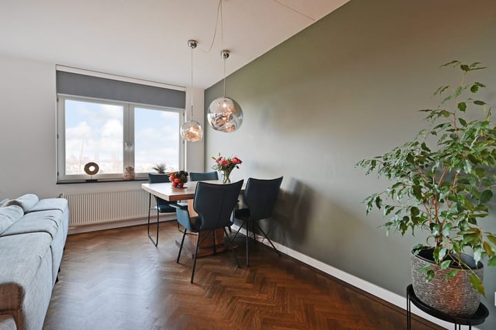 Foto 11 van Cypergras 203