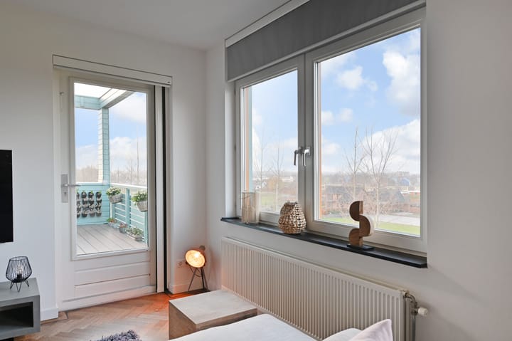 Foto 12 van Cypergras 203