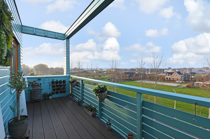 Foto 13 van Cypergras 203