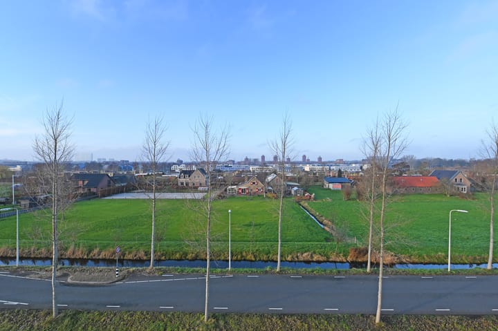 Foto 14 van Cypergras 203