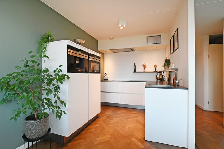 Foto 16 van Cypergras 203