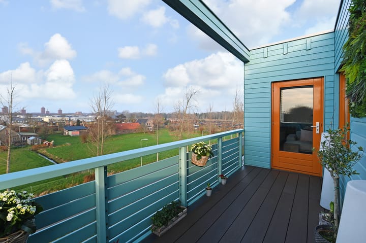 Foto 23 van Cypergras 203