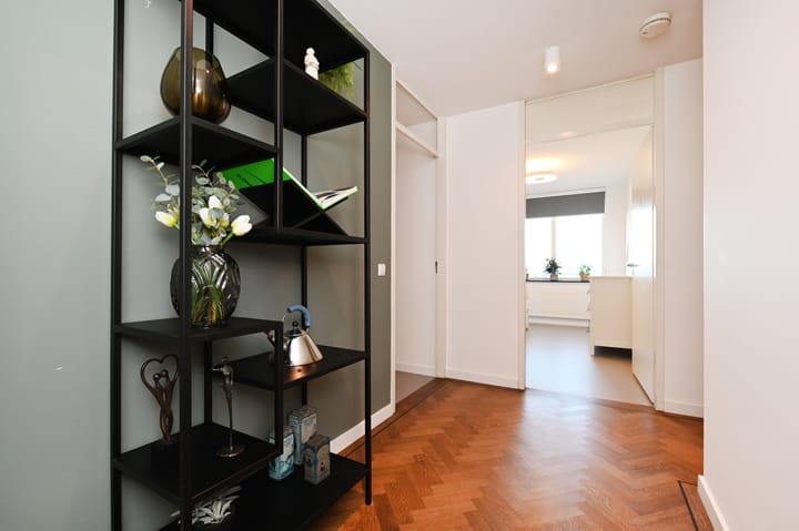 Foto 24 van Cypergras 203