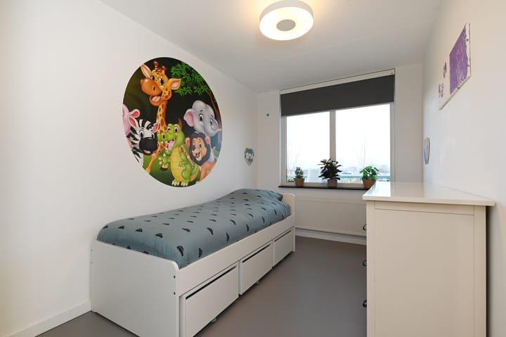 Foto 25 van Cypergras 203