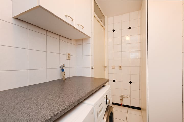 Foto 32 van Cypergras 203