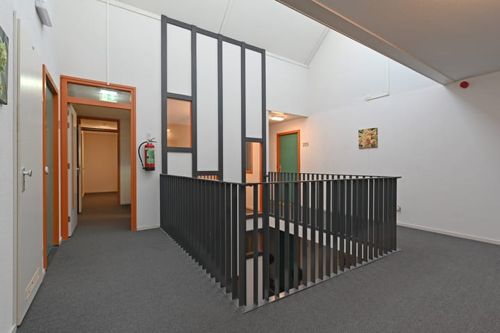 Foto 34 van Cypergras 203