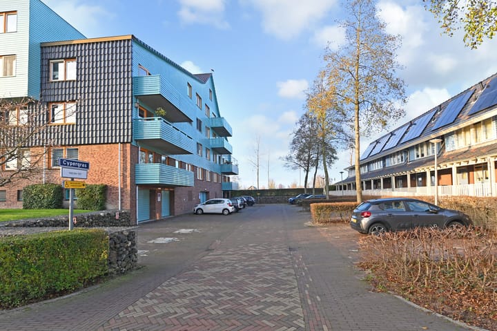 Foto 35 van Cypergras 203