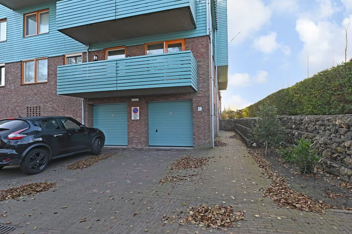 Foto 36 van Cypergras 203