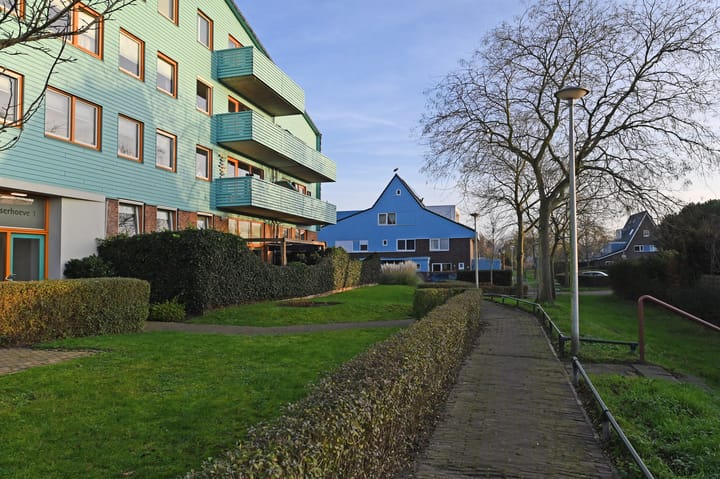 Foto 39 van Cypergras 203