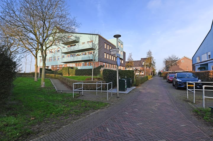 Foto 40 van Cypergras 203