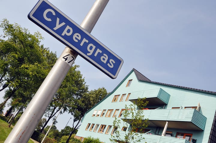 Foto 45 van Cypergras 203