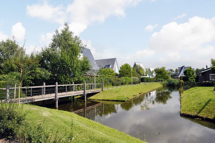 Foto 47 van Cypergras 203