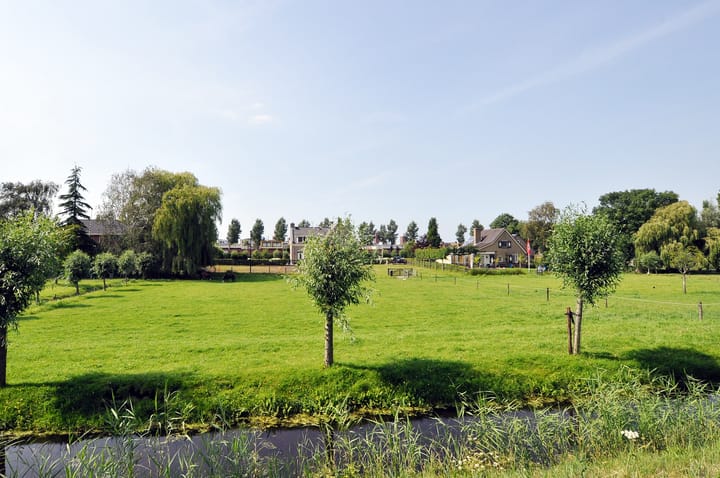 Foto 48 van Cypergras 203