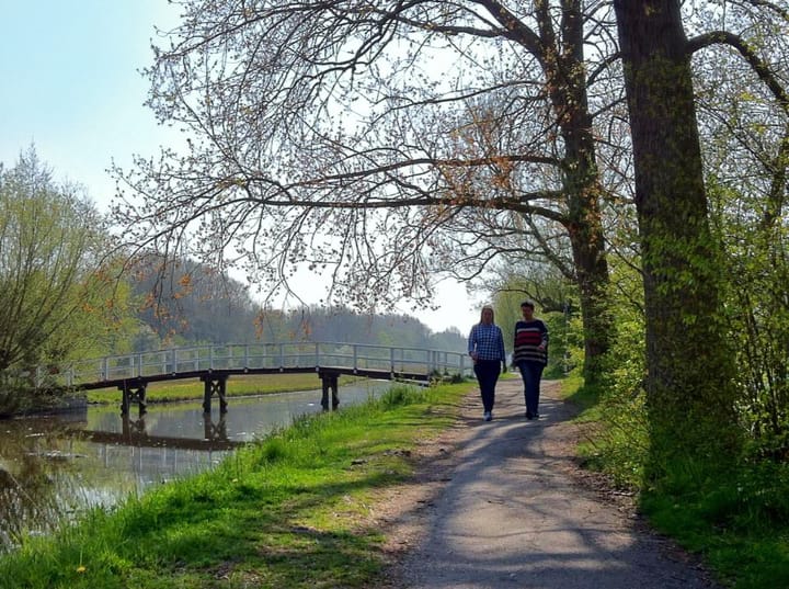 Foto 50 van Cypergras 203