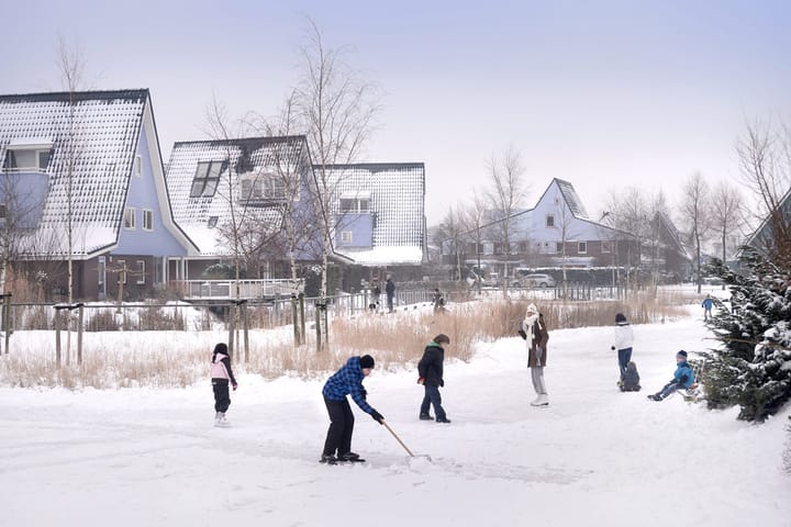 Foto 53 van Cypergras 203