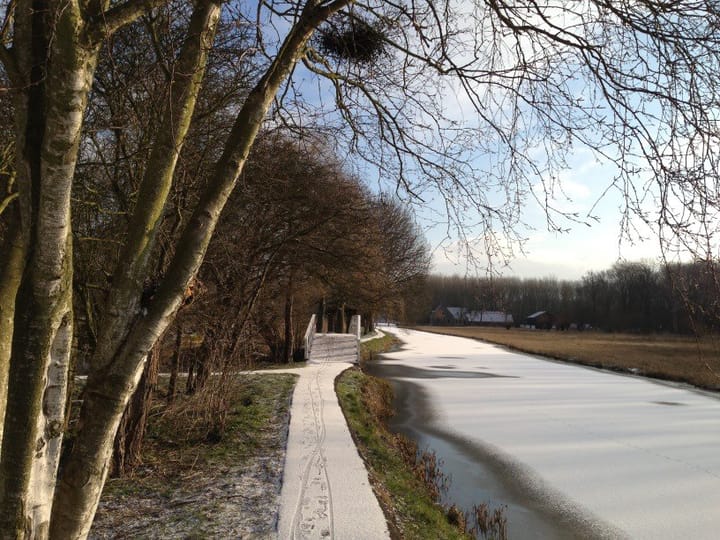 Foto 54 van Cypergras 203