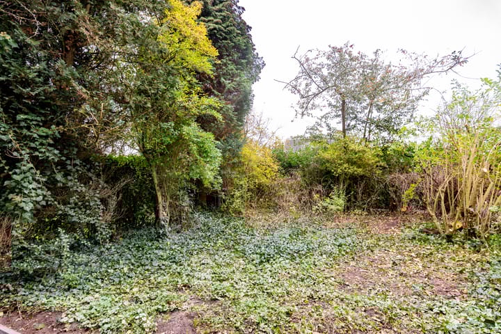 Foto 25 van Venuslaan 23