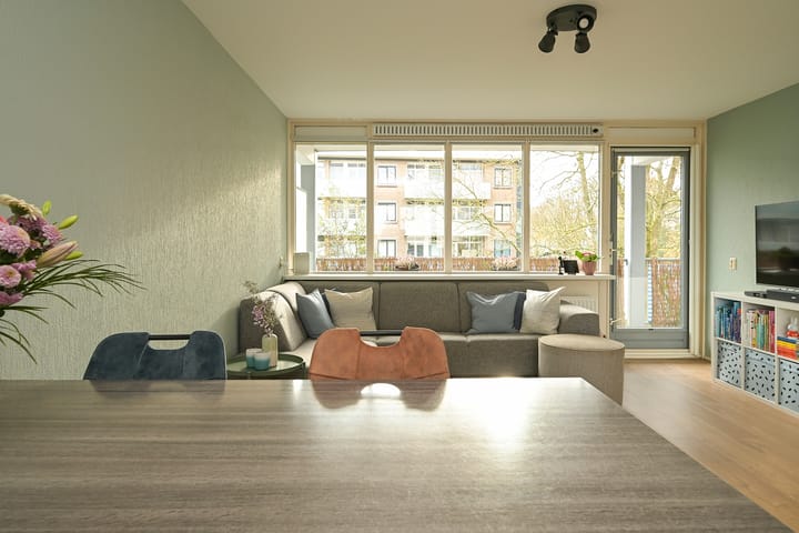 Photo 14 of Ir. van der Sluijsplantsoen 81