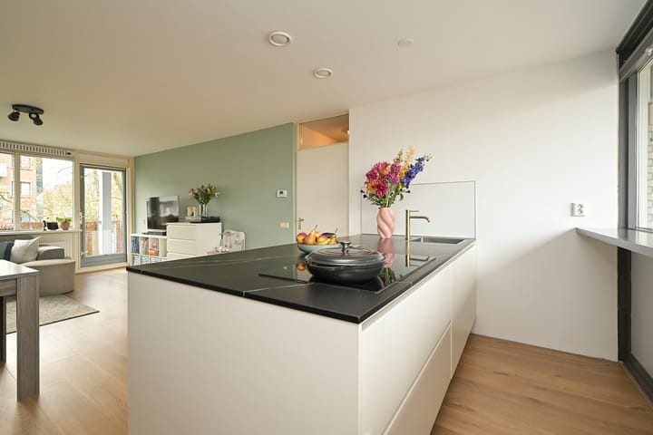 Photo 17 of Ir. van der Sluijsplantsoen 81