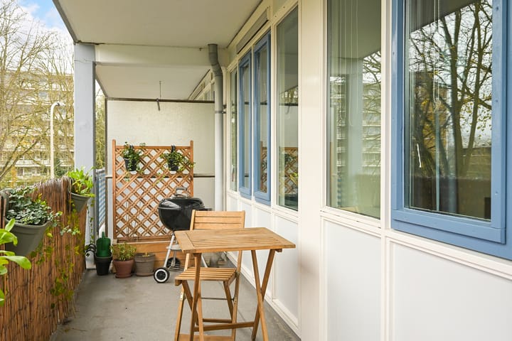 Photo 22 of Ir. van der Sluijsplantsoen 81