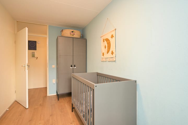 Photo 30 of Ir. van der Sluijsplantsoen 81