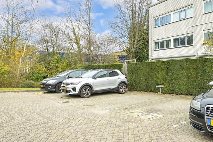 Photo 35 of Ir. van der Sluijsplantsoen 81