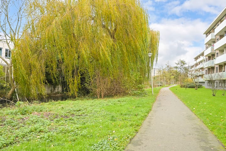 Photo 36 of Ir. van der Sluijsplantsoen 81