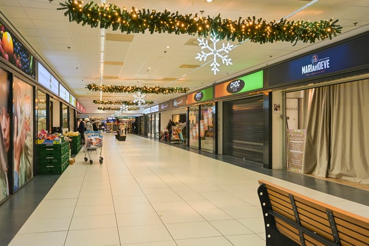 Photo 38 of Ir. van der Sluijsplantsoen 81