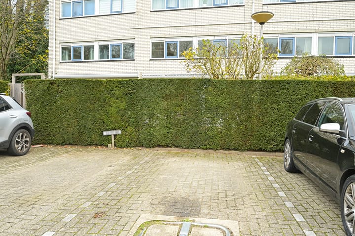 Photo 34 of Ir. van der Sluijsplantsoen 81