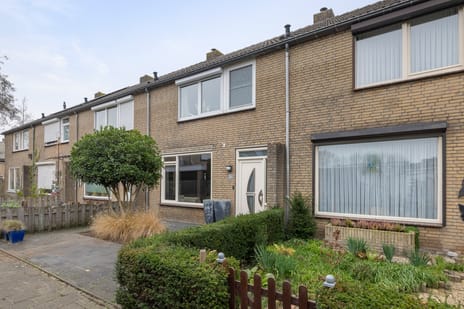 undefined main image