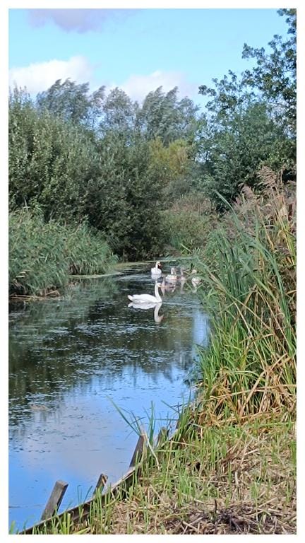 Foto 58 van Klapstraat 37