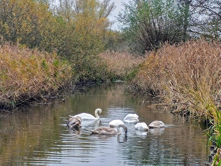 Foto 59 van Klapstraat 37