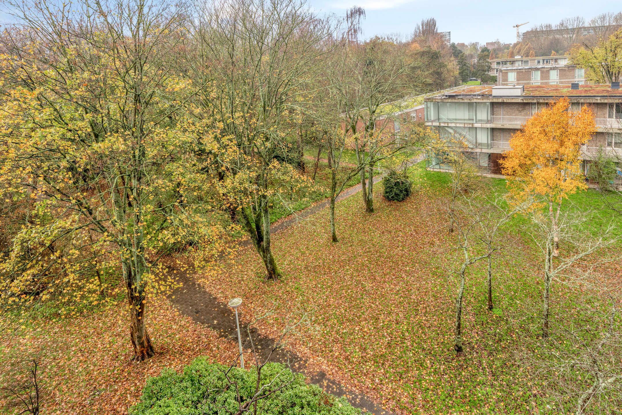 Foto 33 van Adolphine Eduardine Kokplantsoen 33