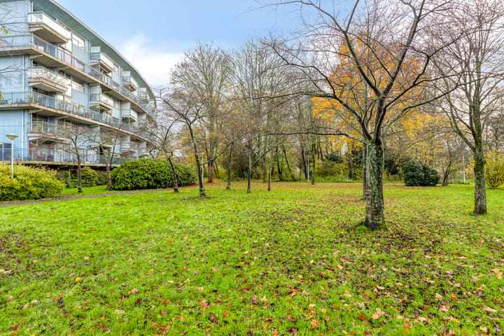 Foto 35 van Adolphine Eduardine Kokplantsoen 33