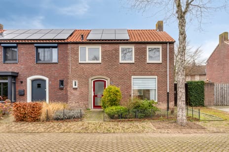 undefined main image