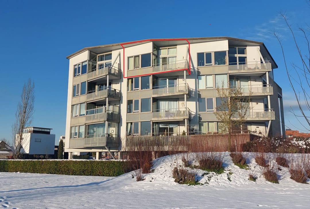 Foto 1 van Lavendel 469