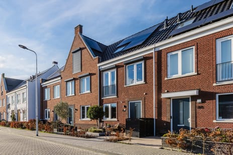 Penningkruid thumbnail