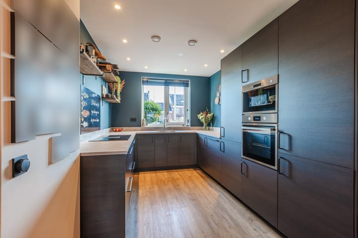 Photo 17 of Penningkruid 86